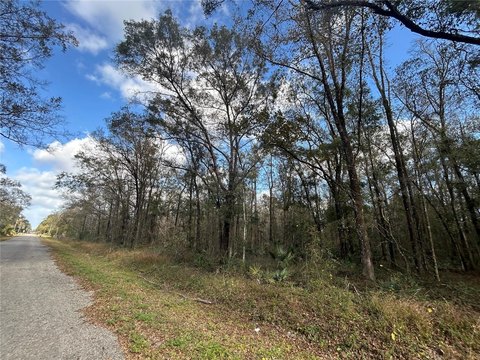 Land in Growing Flagler Estates