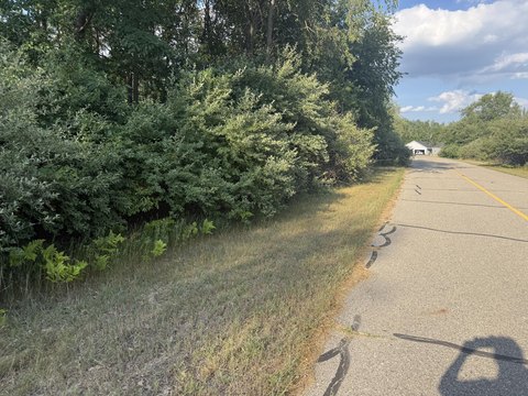 LAND - Stanwood, MI