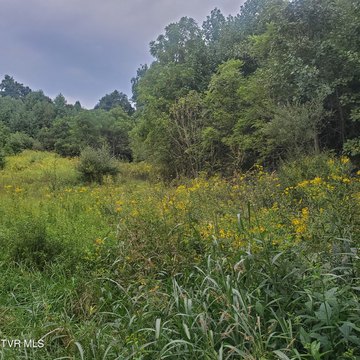 Land, Saltville, VA