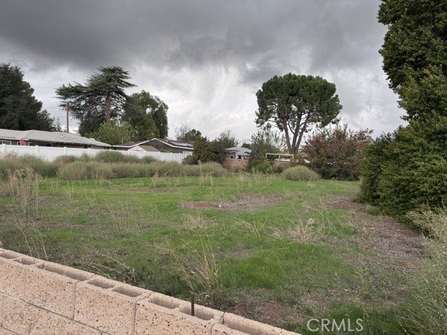 Picture 3