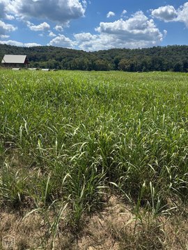 White River Frontage Land