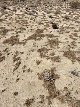 5-Acre Parcel in Adelanto, CA