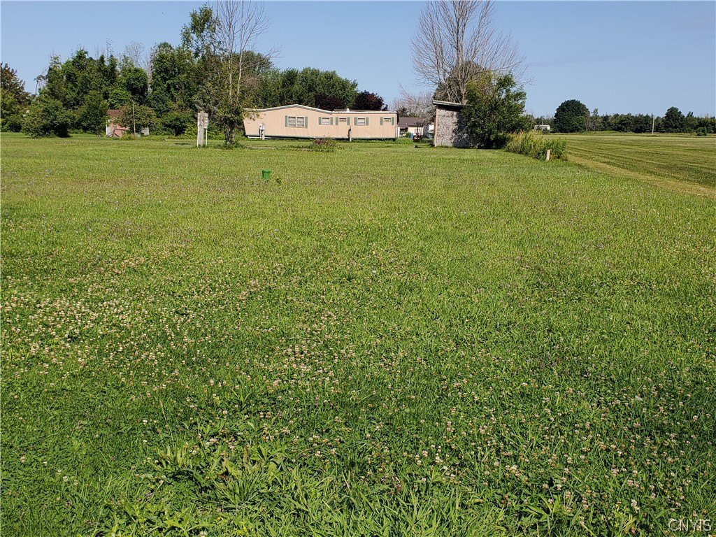 Picture 5