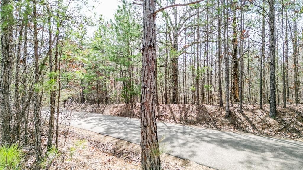 Wooded Land Bordering National Forest