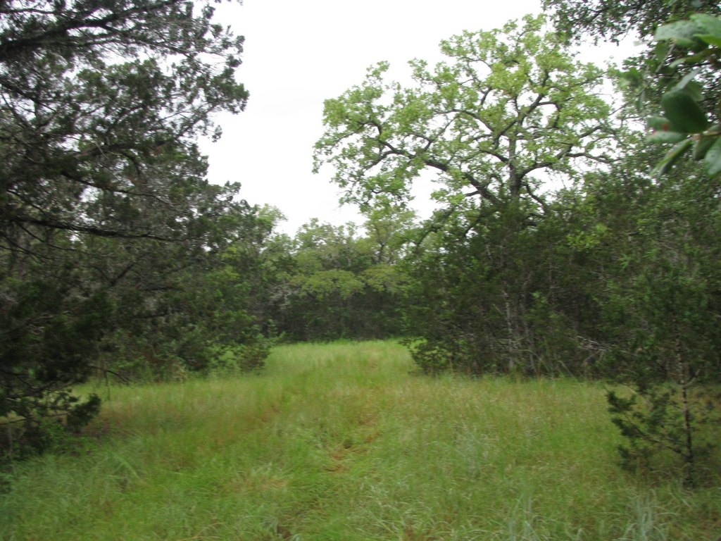 Picture 18