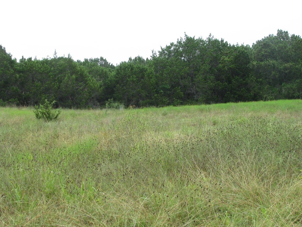 Picture 24