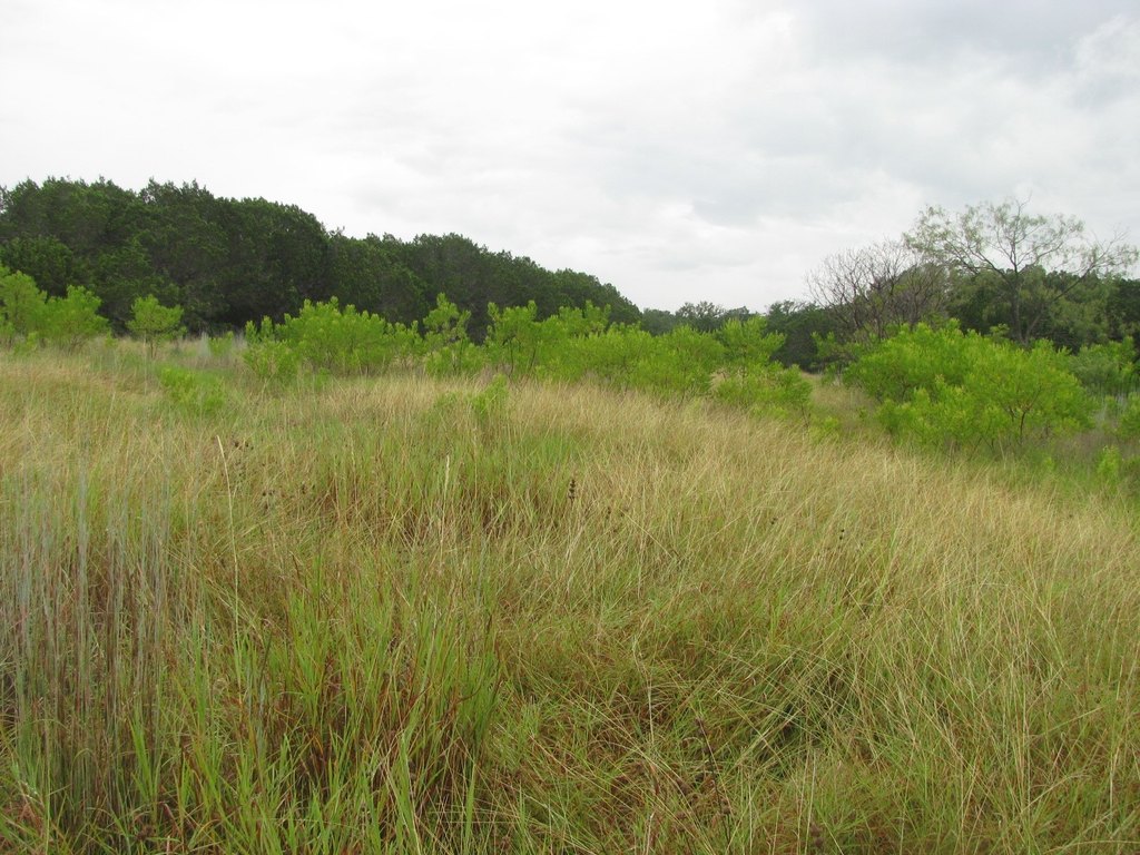 Picture 22