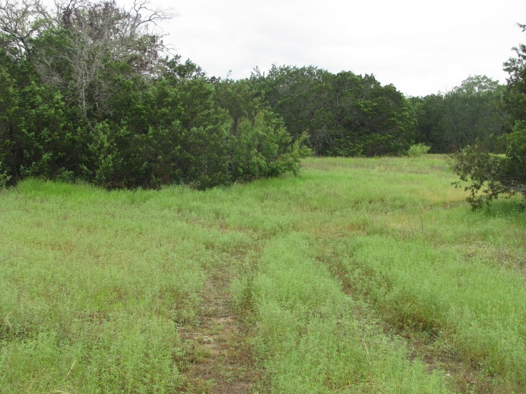 Picture 14