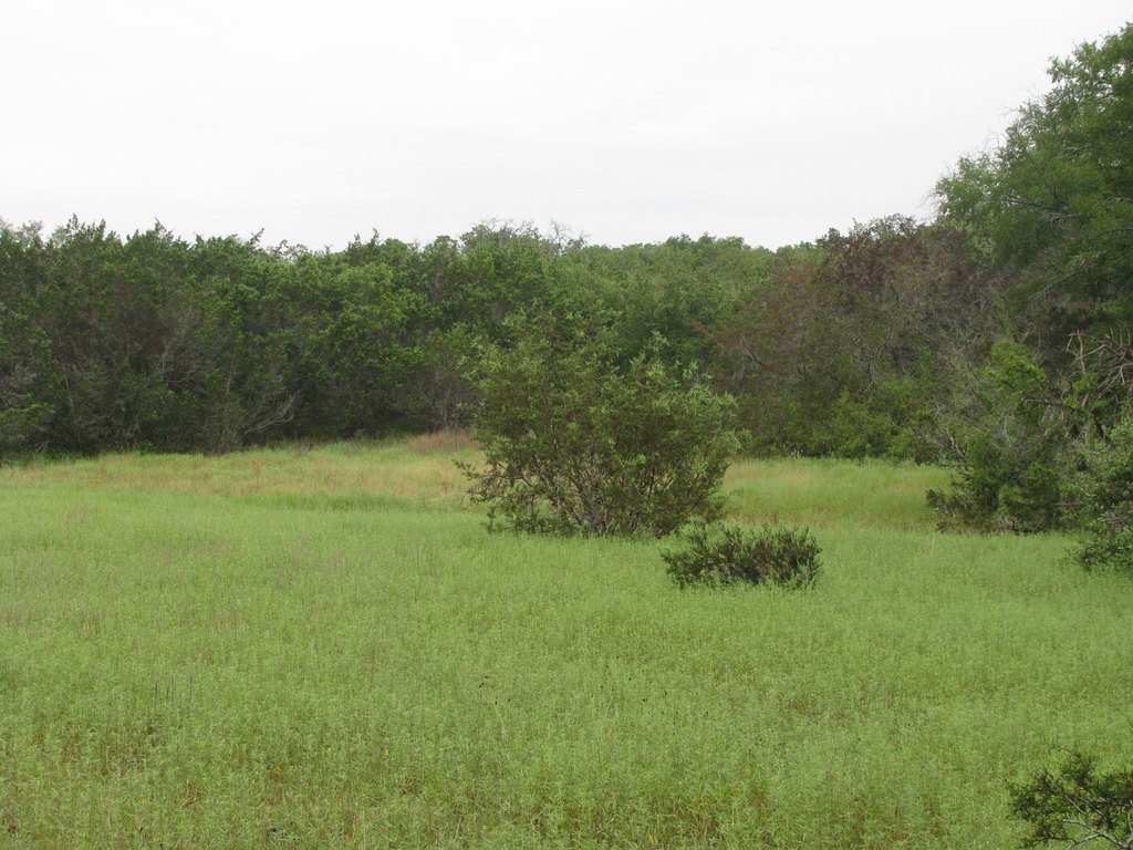Picture 31