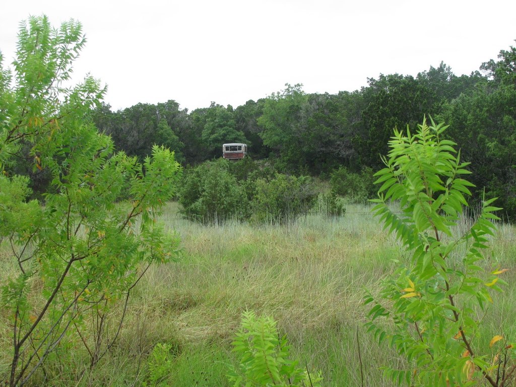 Picture 26