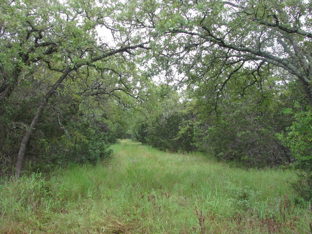 Picture 20