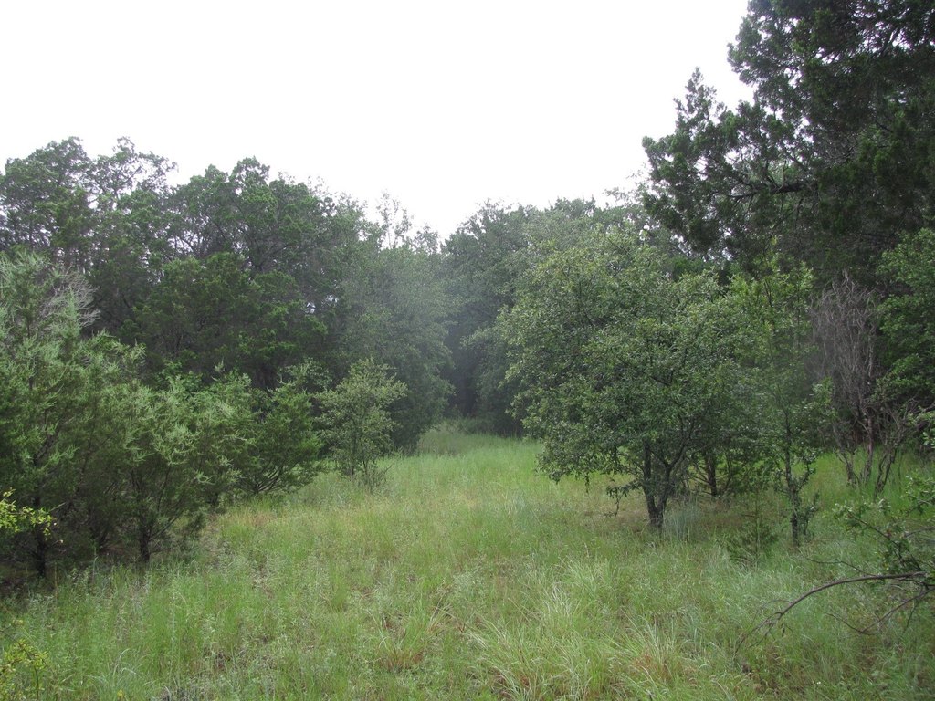 Picture 16