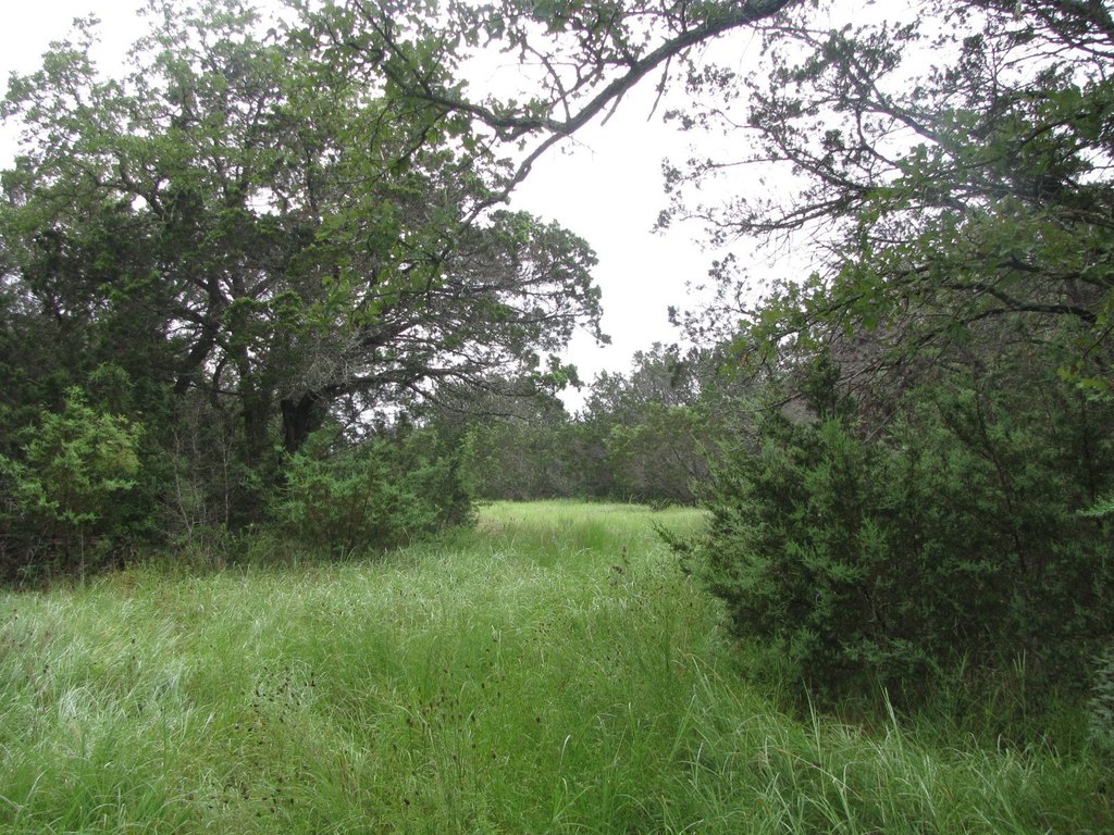 Picture 7