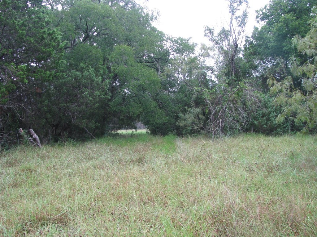 Picture 27
