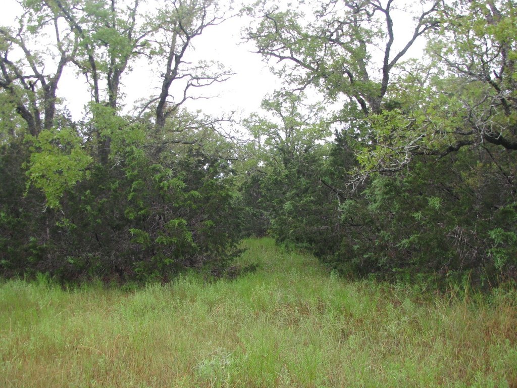 Picture 12