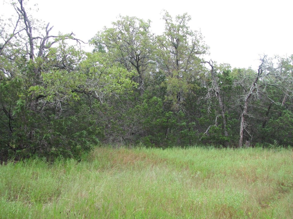 Picture 32