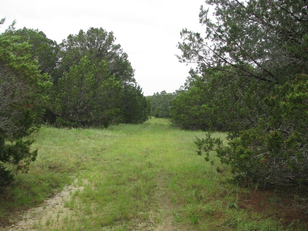 Picture 30