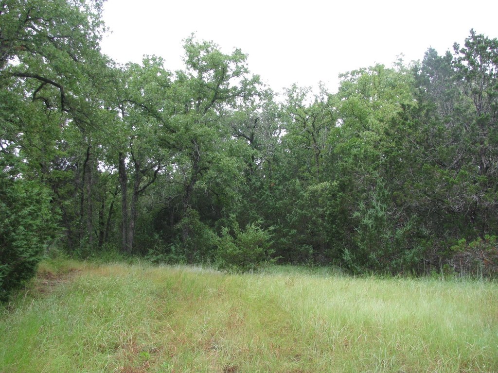 Picture 33