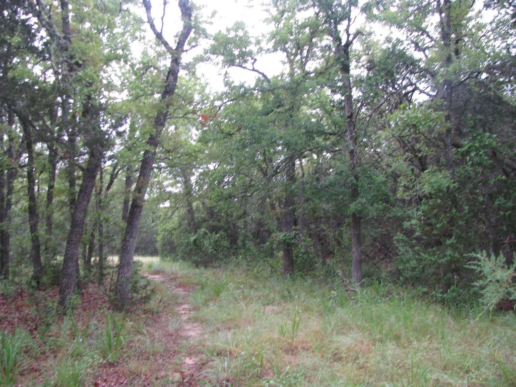Picture 10