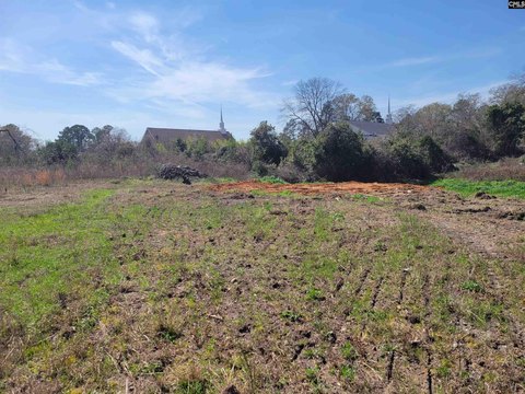 Residential Acreage in Columbia, SC