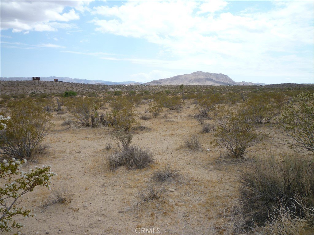 Picture 3