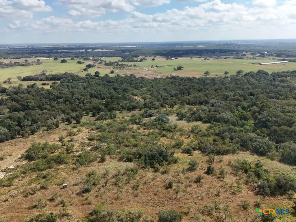 Picture 21