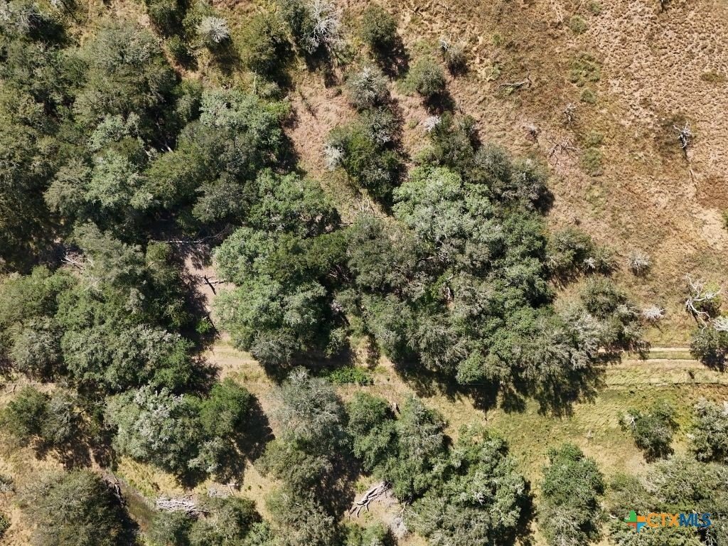 Picture 8