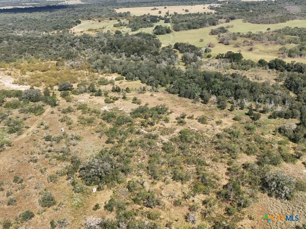 Picture 3