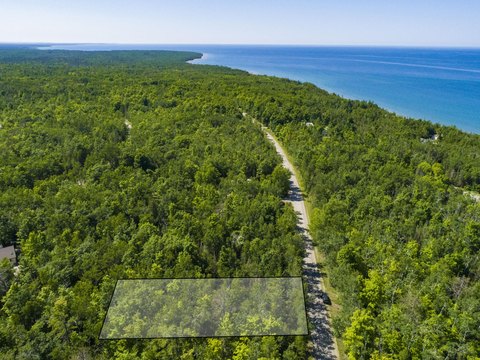 Wooded Lot in Presque Isle