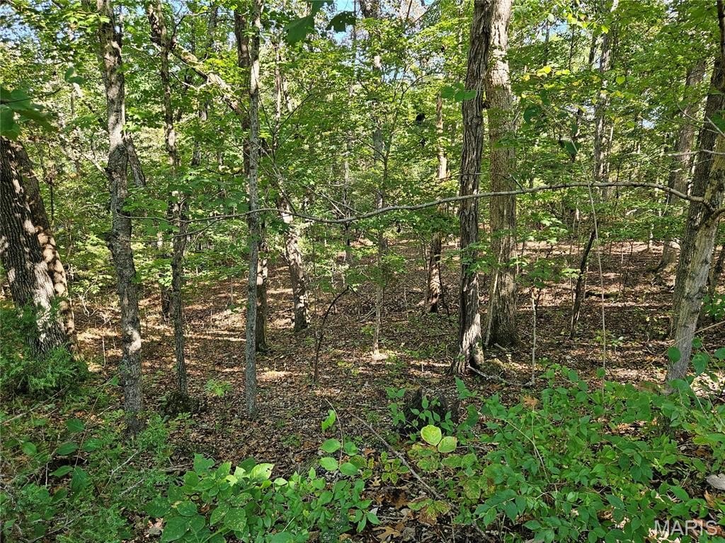 Picture 8