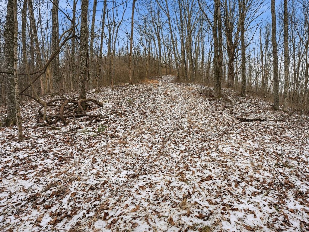Picture 14