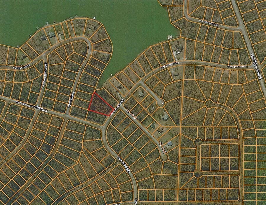 Picture 3