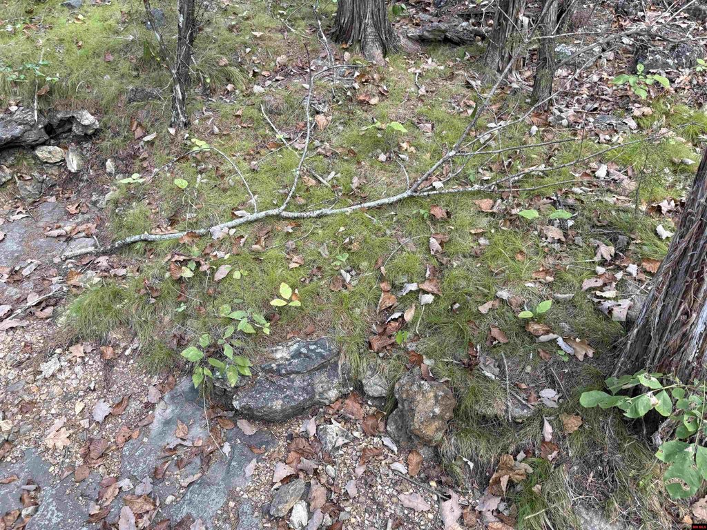 Picture 38