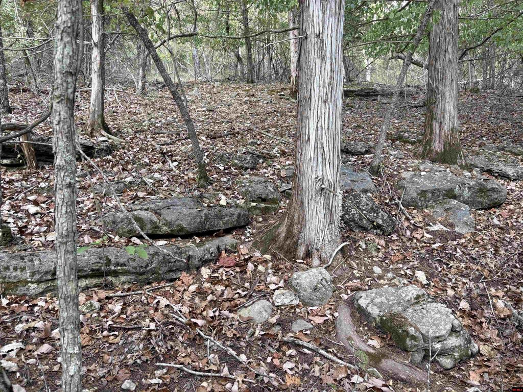 Picture 17