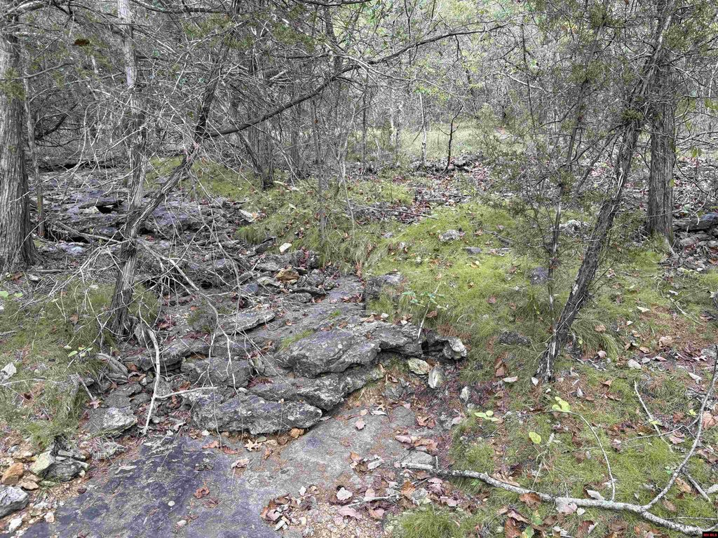 Picture 39