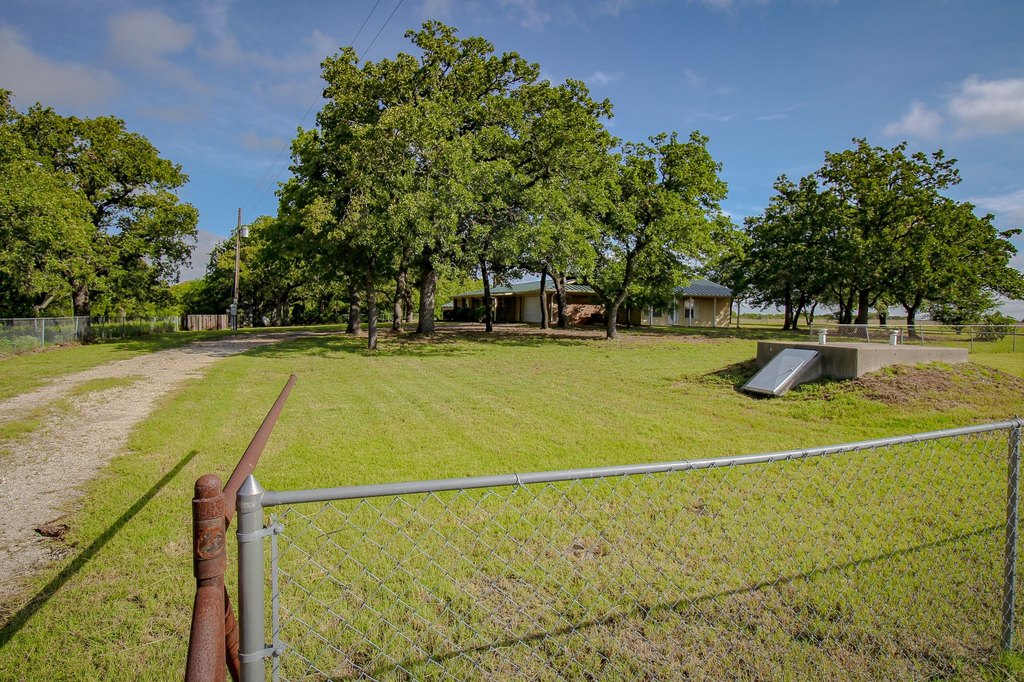 Picture 11