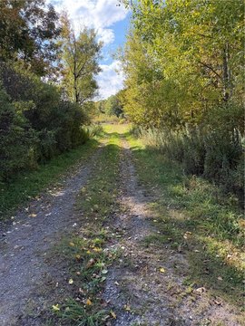 Land, Unadilla, NY