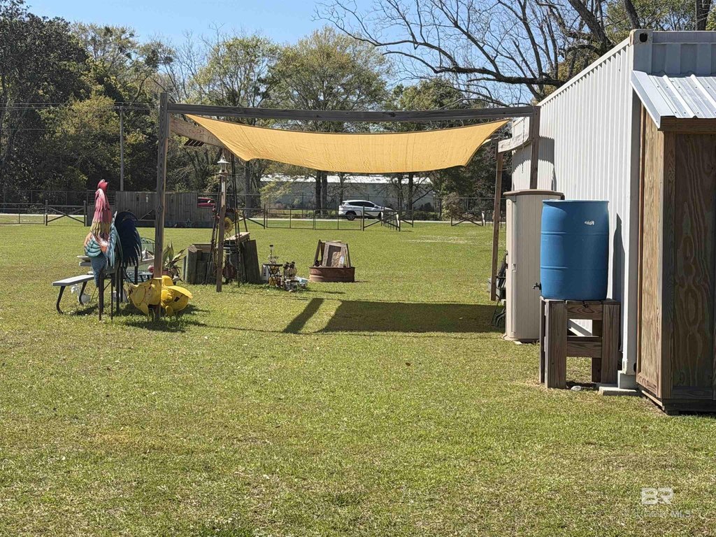 Picture 6