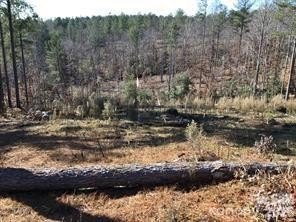 LAND - Connelly Springs, NC