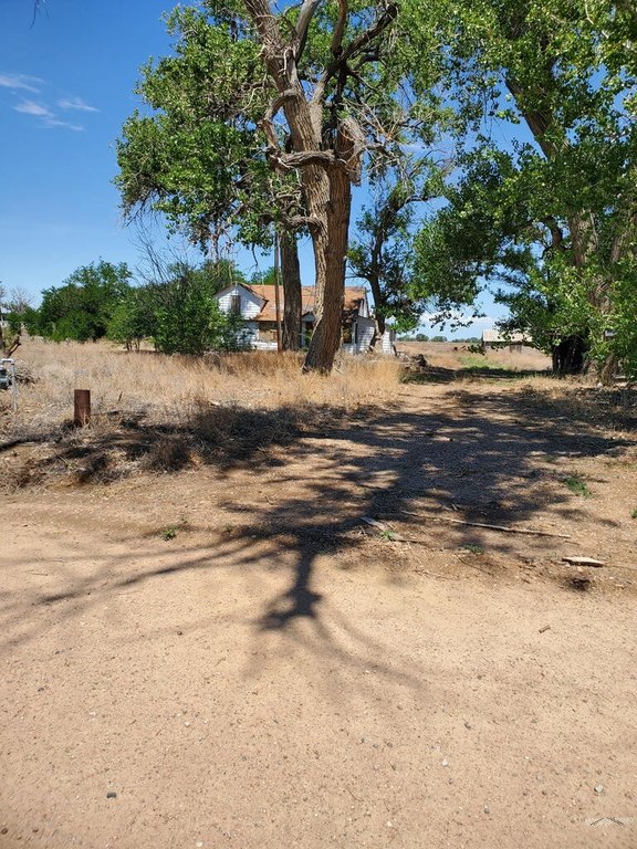Picture 6