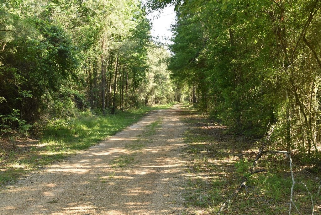 Picture 3