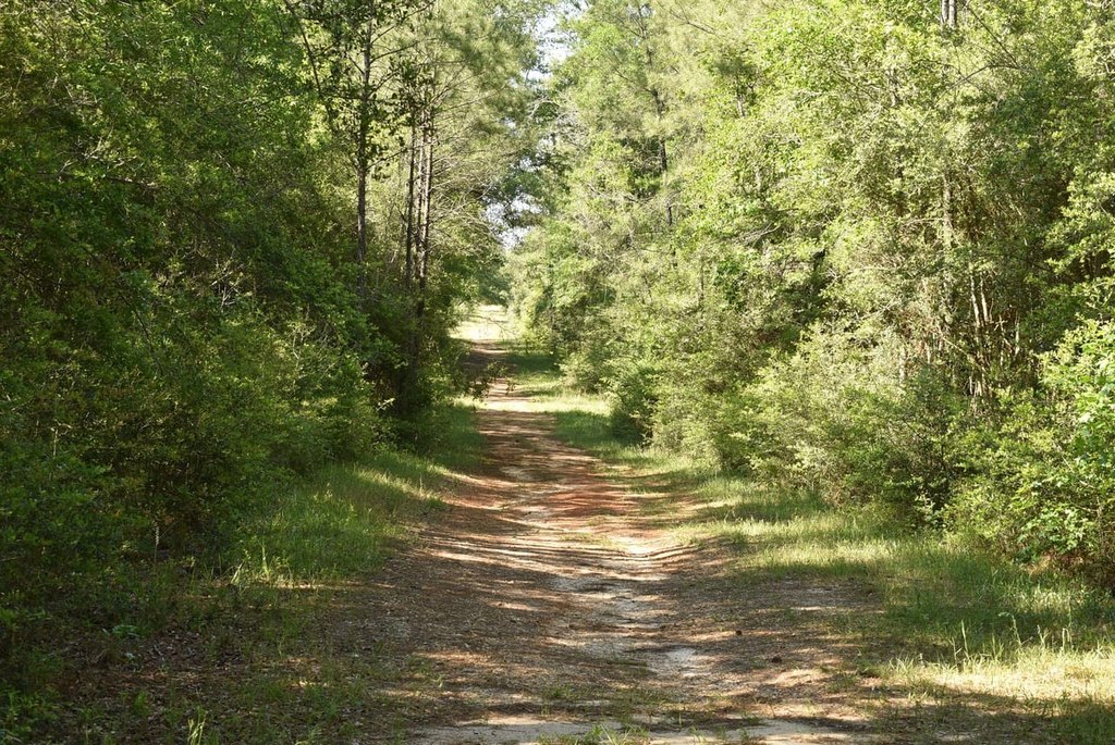 Picture 14