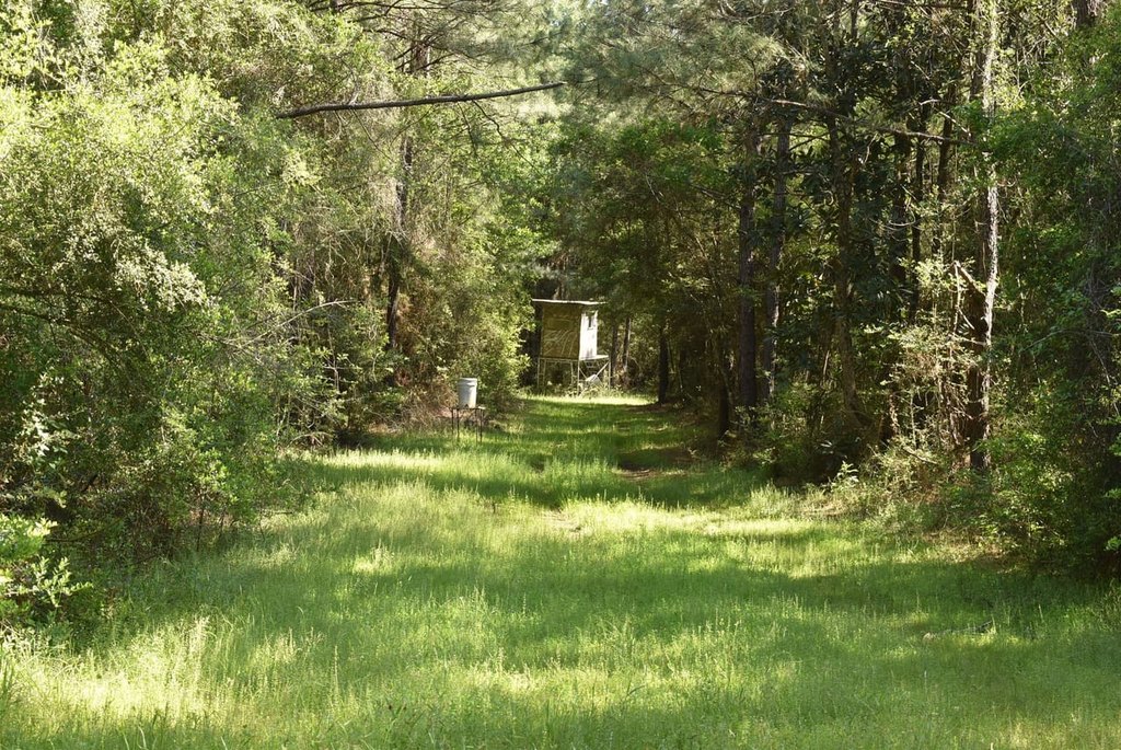Picture 17