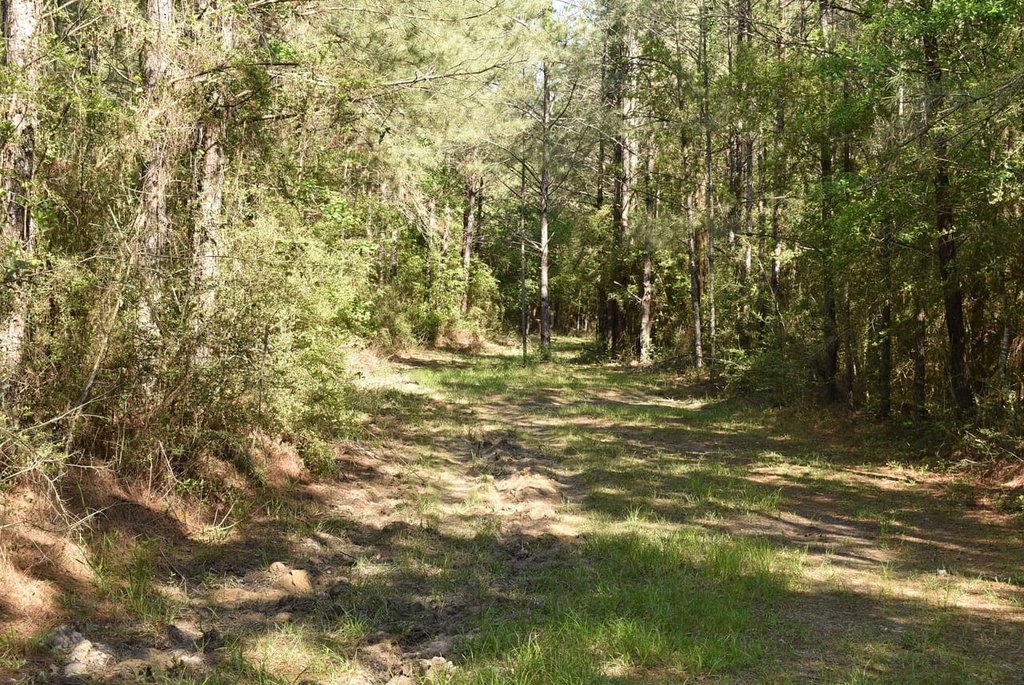 Picture 8