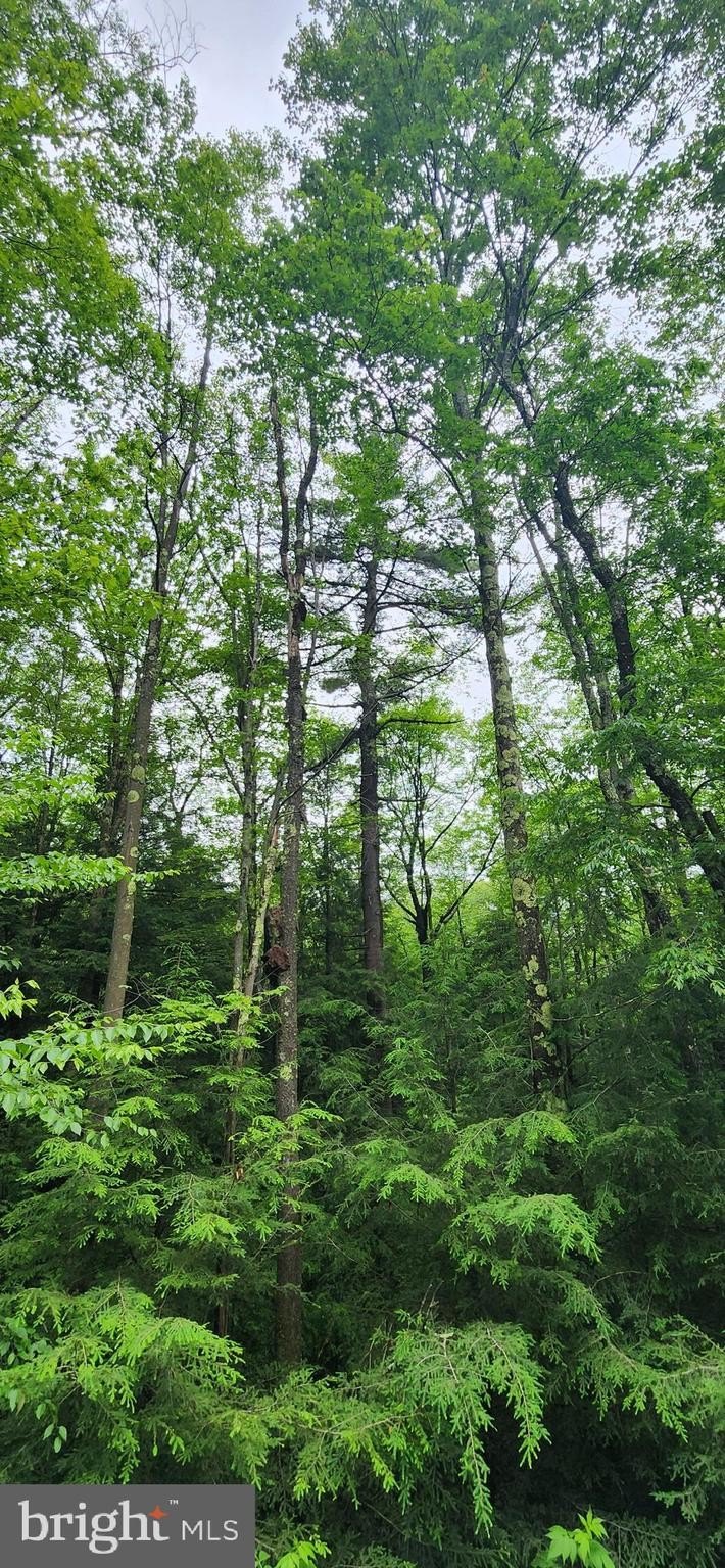 Land with Youghiogheny River Access