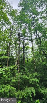 Land with Youghiogheny River Access