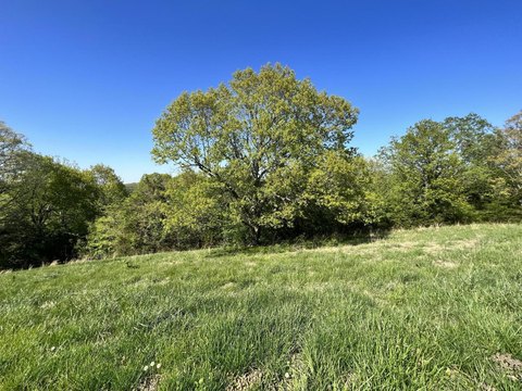 Land, Hollister, MO