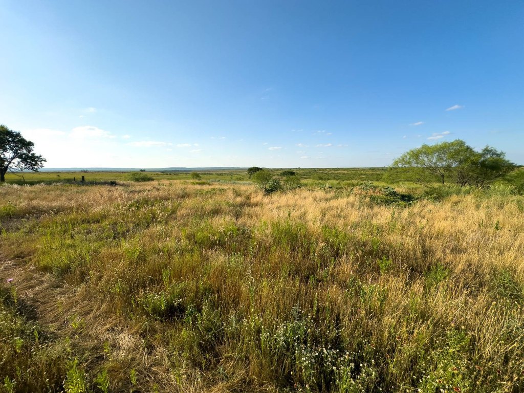 Picture 43