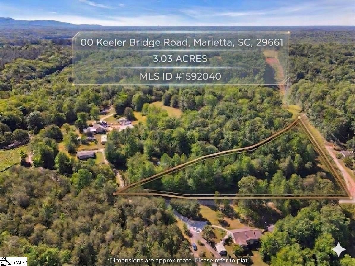 Land in Upstate Foothills