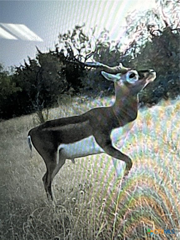 Picture 10
